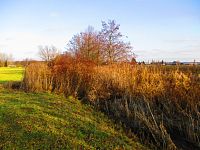Piletický potok před Pouchovem (Hradec Králové)
