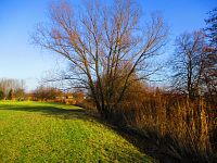 Piletický potok před Pouchovem (Hradec Králové)