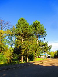 Zámecký park ve Smiřicích