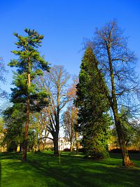 Zámecký park (Smiřice)