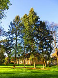 Zámecký park (Smiřice)