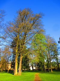 Zámecký park (Smiřice)