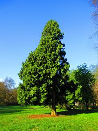 Zámecký park (Smiřice)