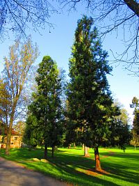 Zámecký park (Smiřice)