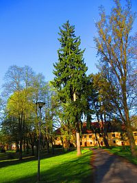 Zámecký park (Smiřice)
