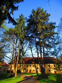 Zámecký park (Smiřice)