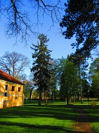 Zámecký park (Smiřice)