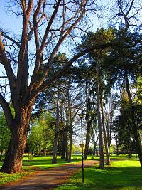 Zámecký park (Smiřice)