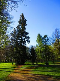 Zámecký park (Smiřice)