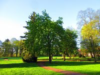Zámecký park (Smiřice)