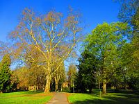 Zámecký park (Smiřice)