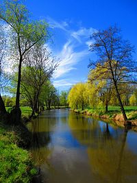 Slepá ramena Trojice (Jaroměř)