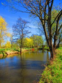 Slepá ramena Trojice (Jaroměř)