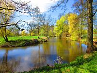 Slepá ramena Trojice (Jaroměř)