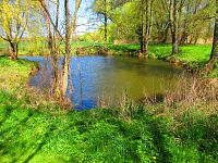 Slepá ramena Trojice (Jaroměř)