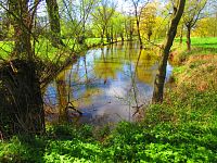 Slepá ramena Trojice (Jaroměř)