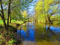 Slepá ramena Trojice (Jaroměř)