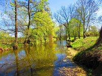 Slepá ramena Trojice (Jaroměř)