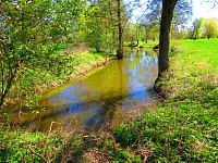 Slepá ramena Trojice (Jaroměř)