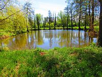 Slepá ramena Trojice (Jaroměř)