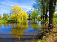 Slepá ramena Trojice (Jaroměř)