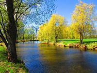 Slepá ramena Trojice (Jaroměř)