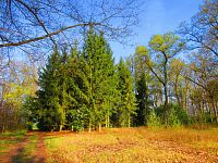 Les Bažantnice (Čeperka)