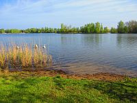 Písník Malá Čeperka (Čeperka)