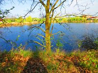 Písník Machač (Čeperka)