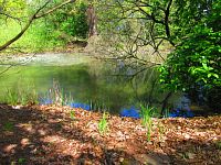 Petrofova jezera (Hradec Králové/Vysoká nad Labem)