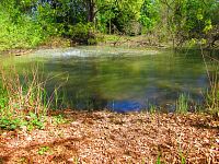 Petrofova jezera (Hradec Králové/Vysoká nad Labem)