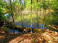 Petrofova jezera (Hradec Králové/Vysoká nad Labem)