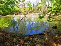 Petrofova jezera (Hradec Králové/Vysoká nad Labem)