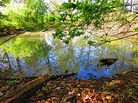 Petrofova jezera (Hradec Králové/Vysoká nad Labem)