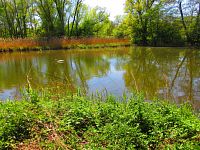 Petrofova jezera (Hradec Králové/Vysoká nad Labem)