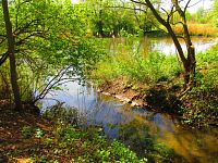 Petrofova jezera (Hradec Králové/Vysoká nad Labem)