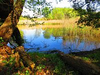 Petrofova jezera (Hradec Králové/Vysoká nad Labem)