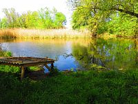 Petrofova jezera (Hradec Králové/Vysoká nad Labem)