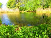 Petrofova jezera (Hradec Králové/Vysoká nad Labem)