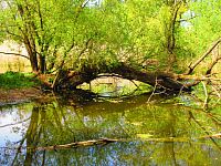 Petrofova jezera (Hradec Králové/Vysoká nad Labem)