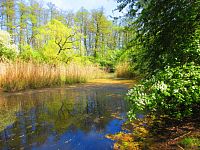 Petrofova jezera (Hradec Králové/Vysoká nad Labem)