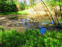 Petrofova jezera (Hradec Králové/Vysoká nad Labem)