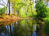 Petrofova jezera (Hradec Králové/Vysoká nad Labem)