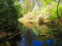 Petrofova jezera (Hradec Králové/Vysoká nad Labem)