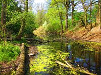 Petrofova jezera (Hradec Králové/Vysoká nad Labem)