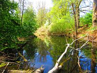 Petrofova jezera (Hradec Králové/Vysoká nad Labem)