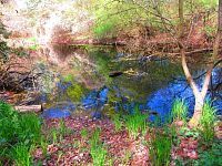 Petrofova jezera (Hradec Králové/Vysoká nad Labem)