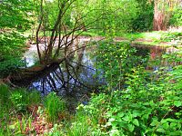 Petrofova jezera (Hradec Králové/Vysoká nad Labem)