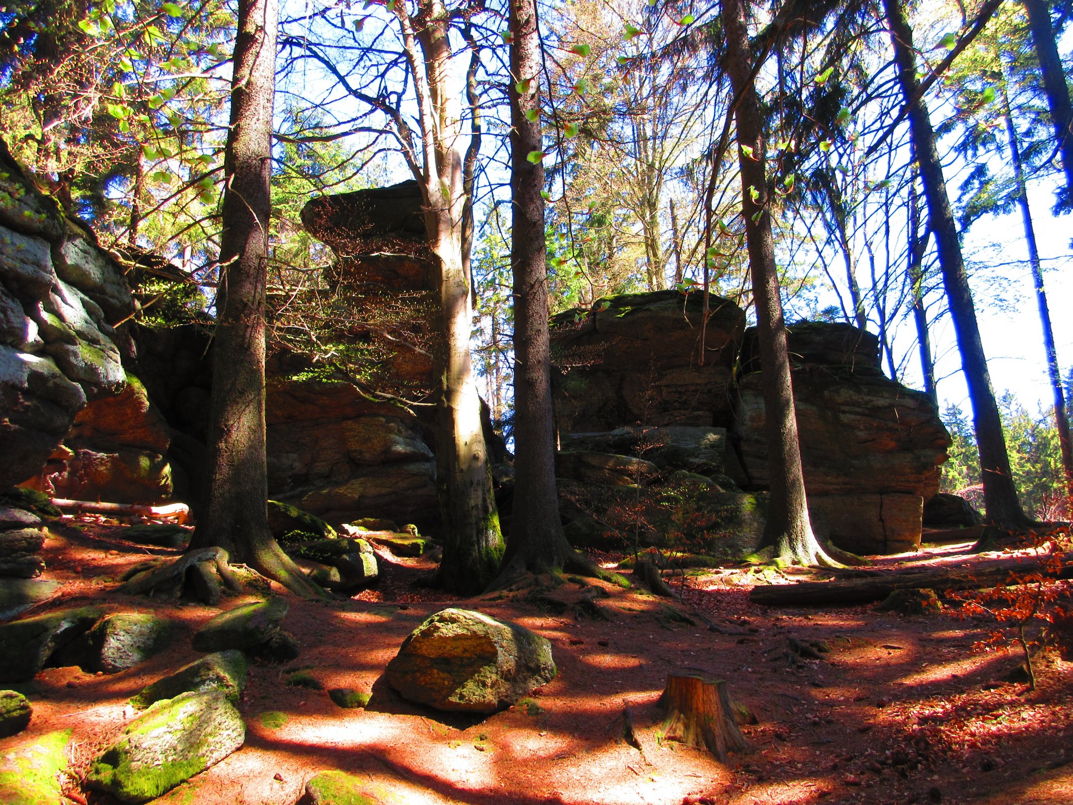 Zkamenělý zámek (Starý Karlštejn) u Svratky