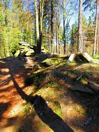 Zkamenělý zámek (Svratka)